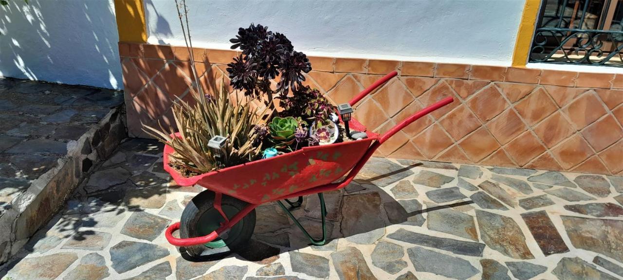 Villa Bella Sirena Nerja Exterior photo